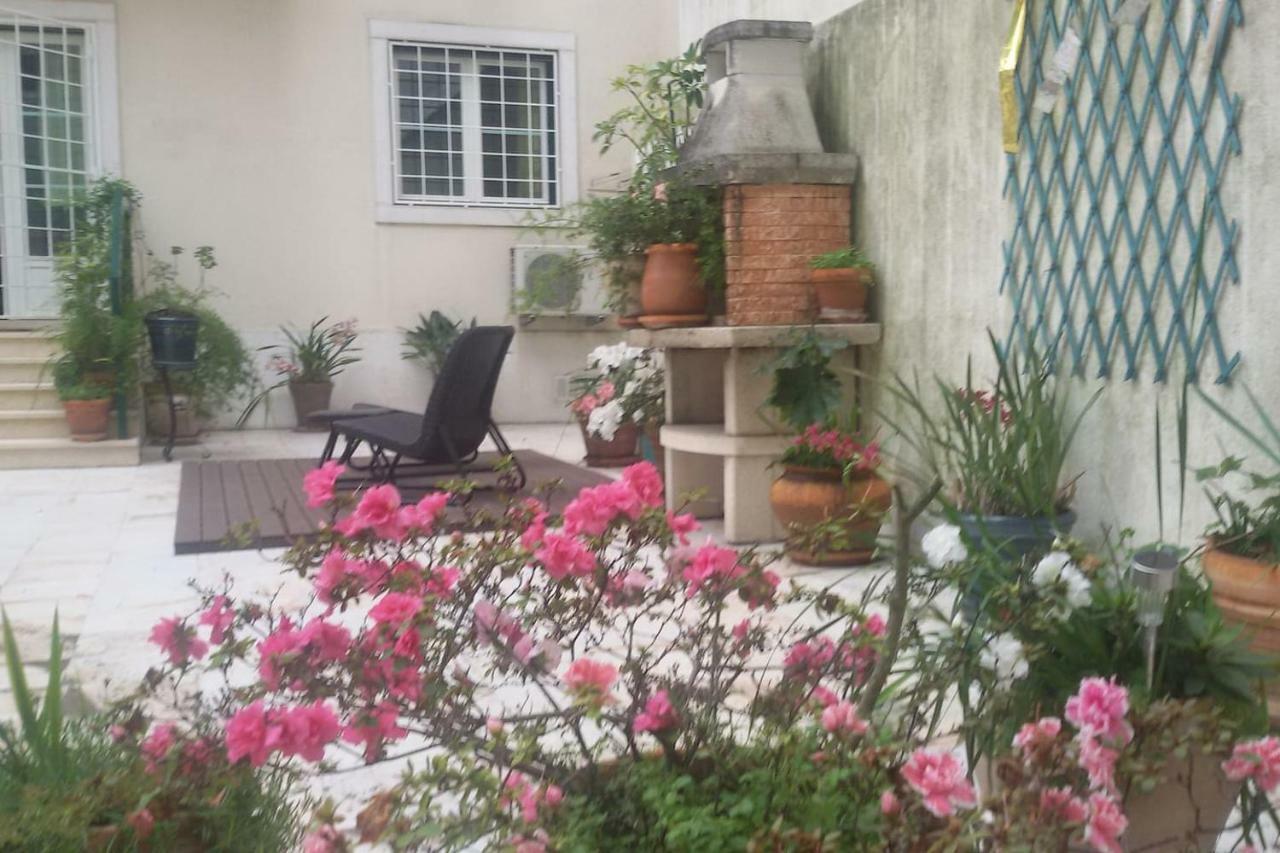 Apartment Sunny Terrace